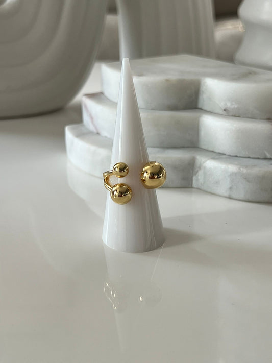 Dion rings